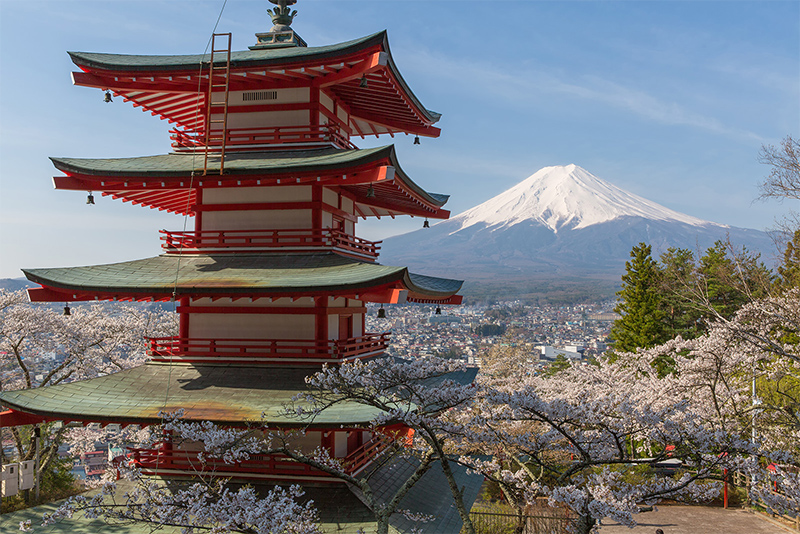 春の景色