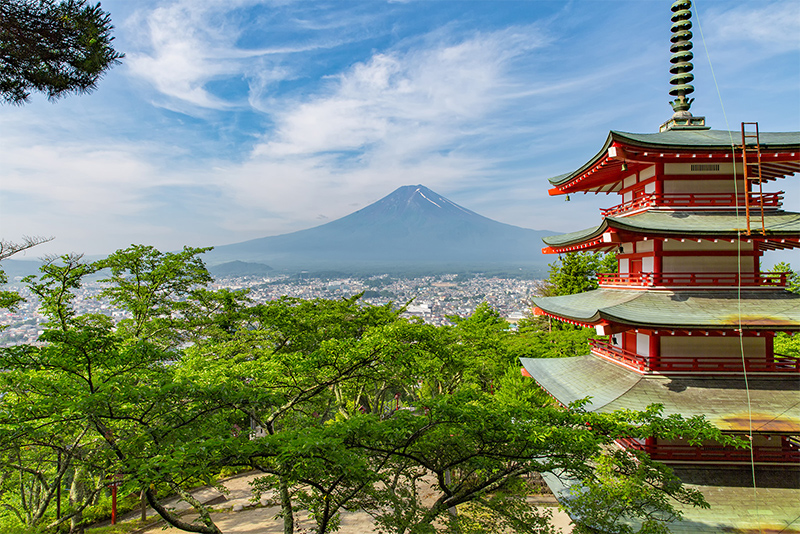 夏の景色