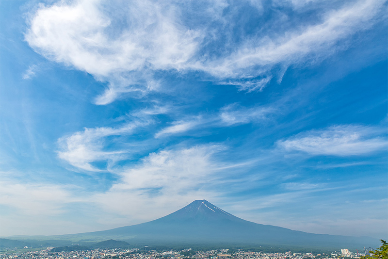 夏の景色